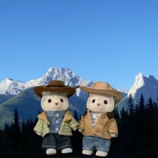 Acampamento Brokeback